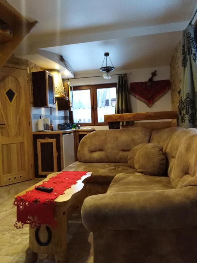 Inksy Domek Harenda Zakopane Ngoại thất bức ảnh