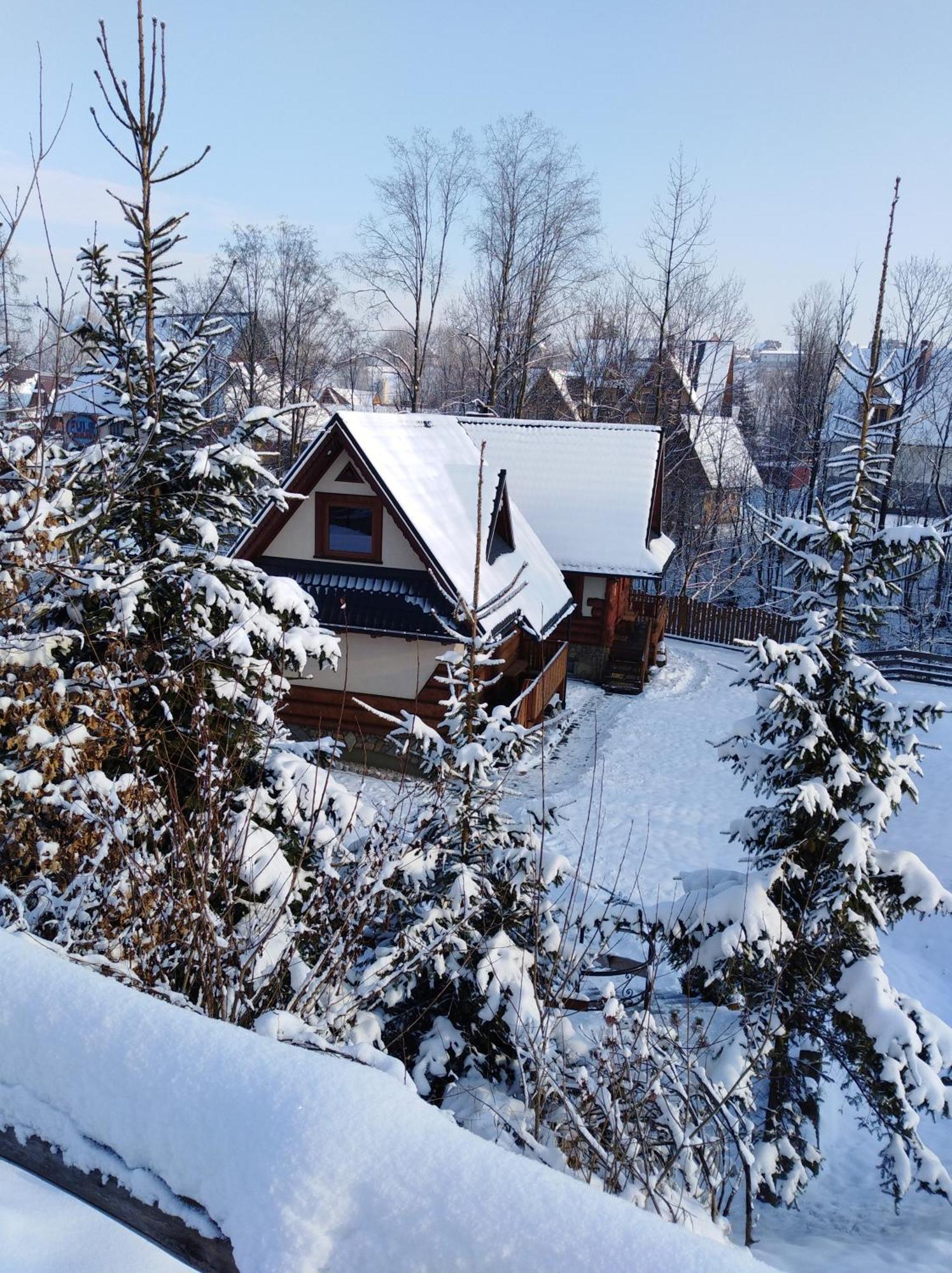 Inksy Domek Harenda Zakopane Ngoại thất bức ảnh