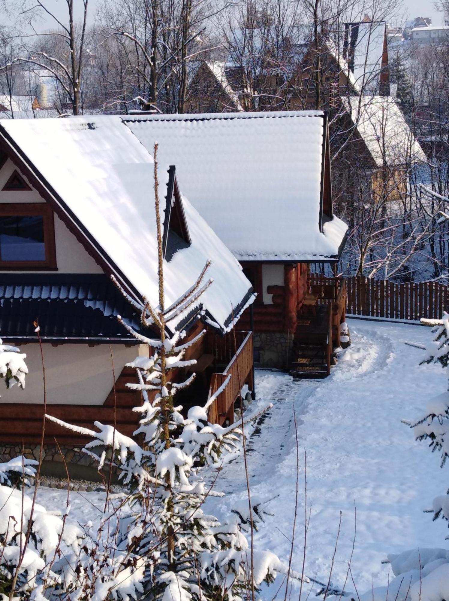 Inksy Domek Harenda Zakopane Ngoại thất bức ảnh